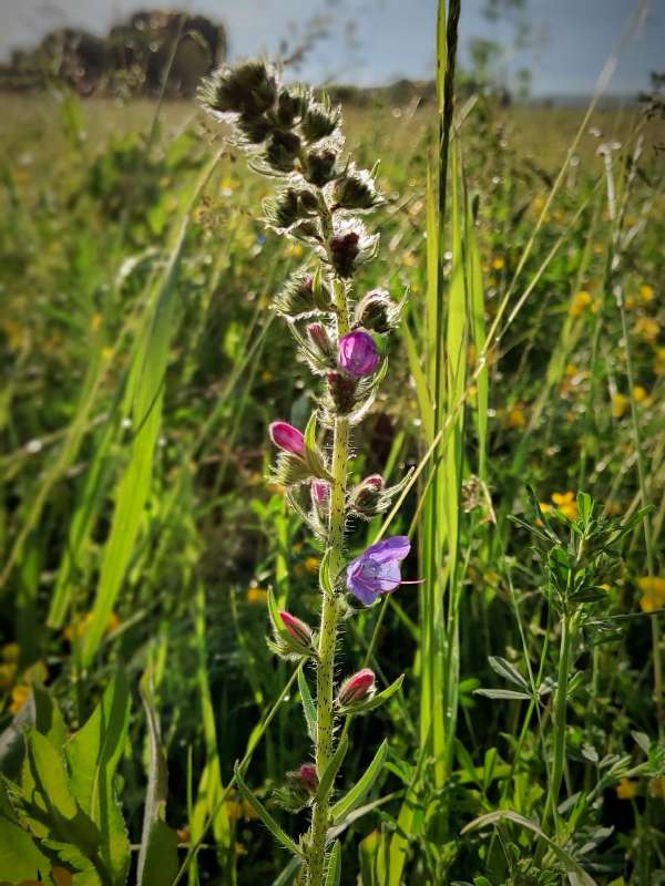 ����� ����� ������  �� PhotoGeek.ru #����� #����� ��������������