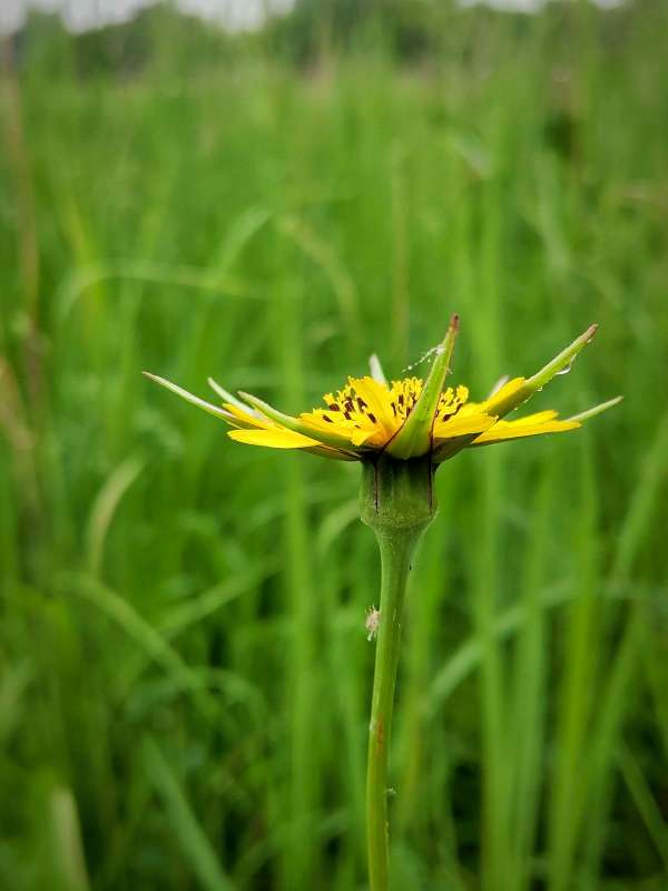 "���������� ��������" ��� ���� ����� ������  �� PhotoGeek.ru #����� #����� ��������������