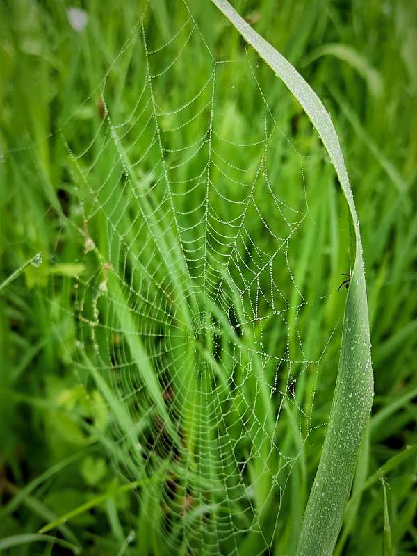 �������� ����� ������  �� PhotoGeek.ru #�����