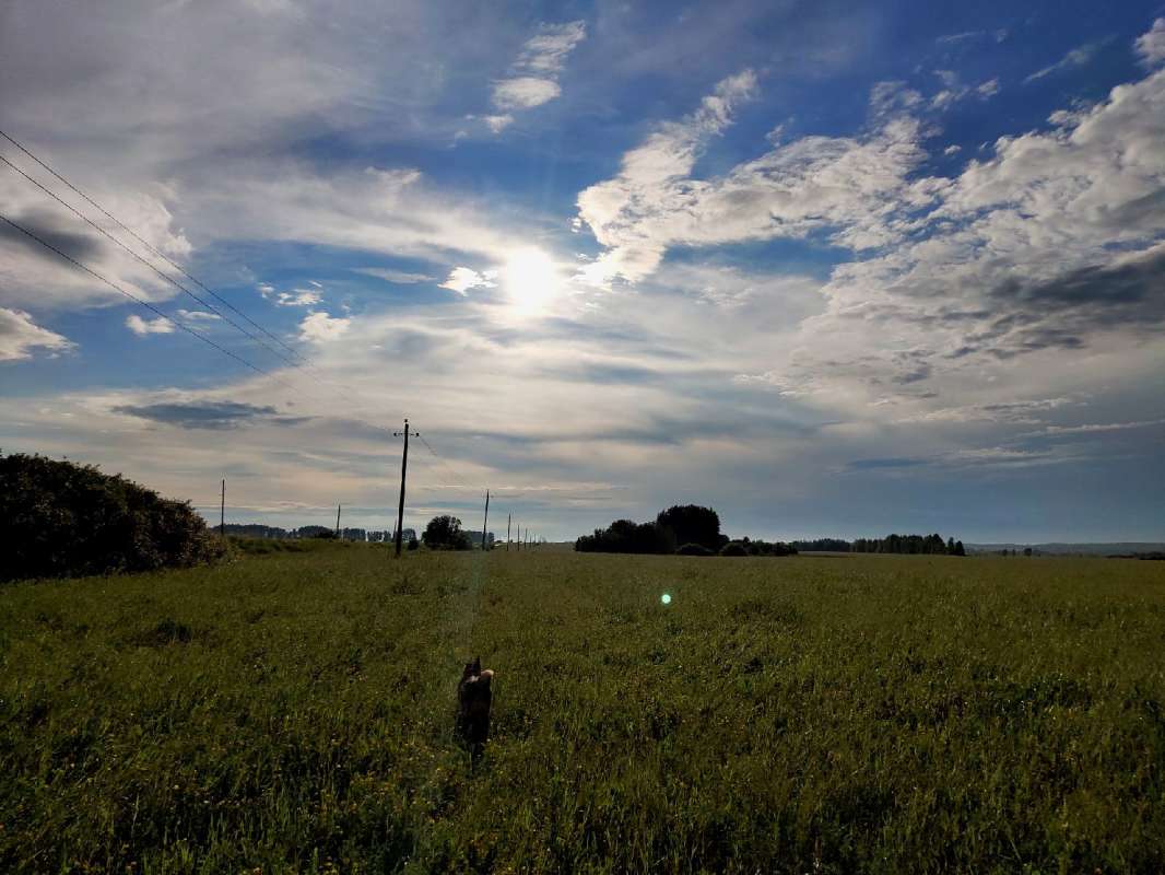 �� �������-������� ����� ����� ������  �� PhotoGeek.ru #������ ��� �������