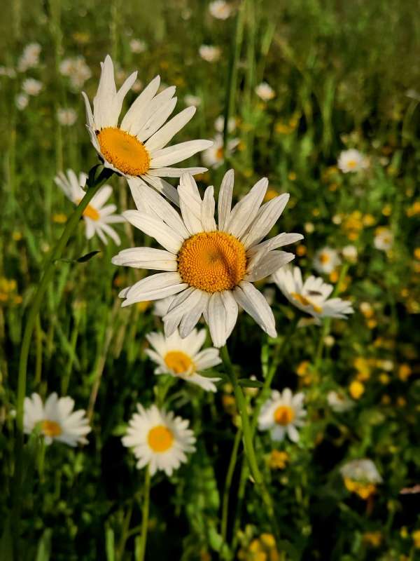 ��������� - ������� ����� ������  �� PhotoGeek.ru #����� #����� ��������������