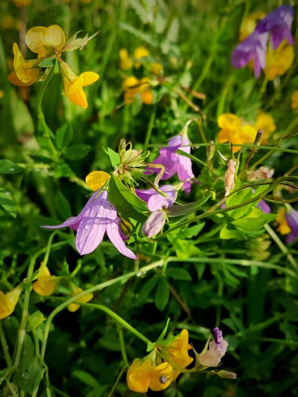 � ������ ����� ����� ������  �� PhotoGeek.ru #����� ��������������