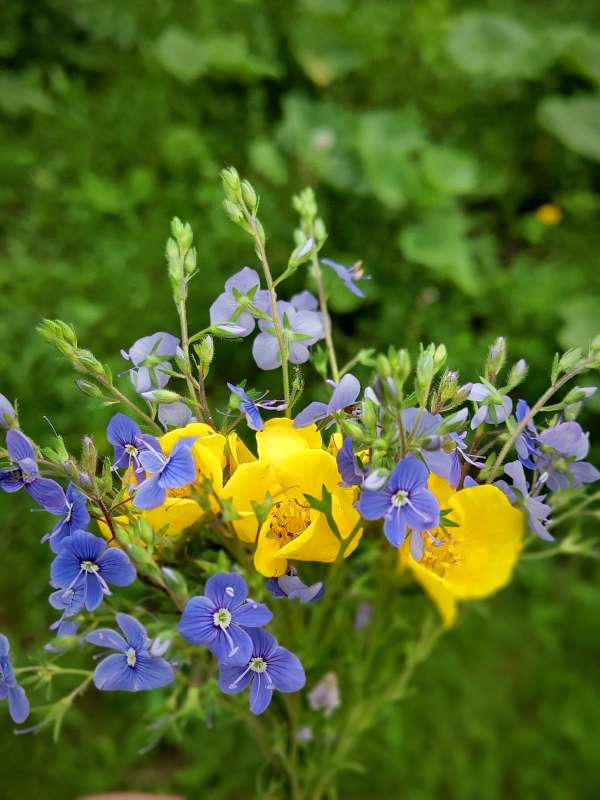 �������� ��������� � ������� ����� ����� ������  �� PhotoGeek.ru #����� #����� ��������������