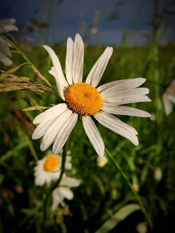 ����� ������� ������ ����� ������  �� PhotoGeek.ru #����� #����� ��������������