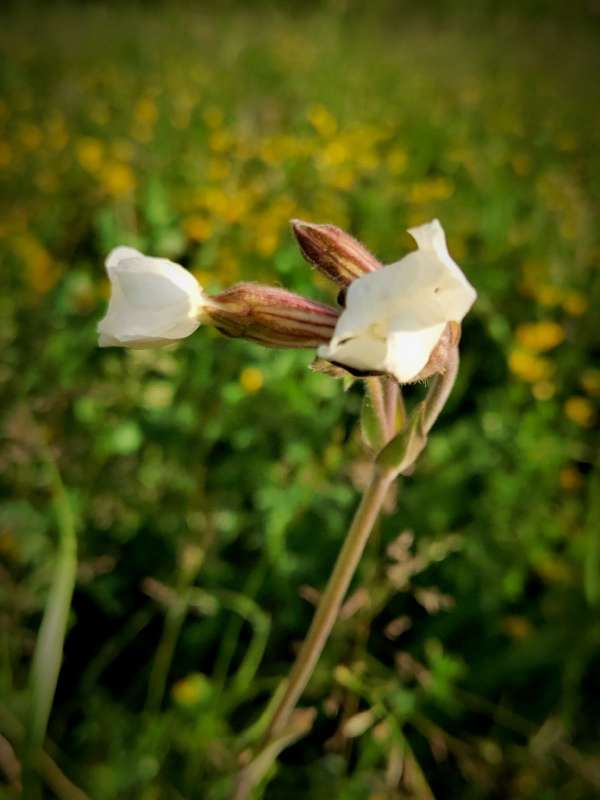 ��������� ����� ������  �� PhotoGeek.ru #����� #����� ��������������