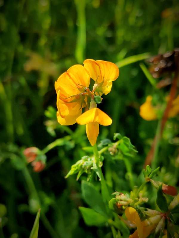 � ����� ������ ����� ������  �� PhotoGeek.ru #����� #����� ��������������