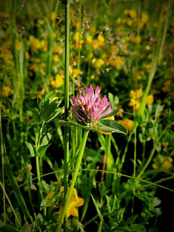 ������ ����� ������  �� PhotoGeek.ru #����� #����� ��������������