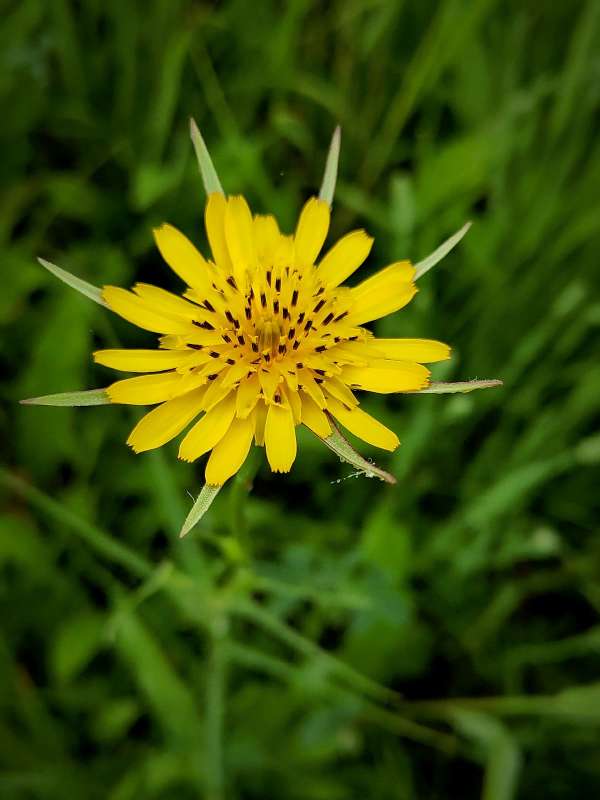 ������� ����� ����� ������  �� PhotoGeek.ru #����� #����� ��������������