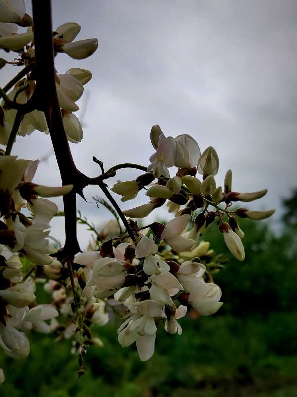 ������ ����� ������  �� PhotoGeek.ru #����� #����� ��������������