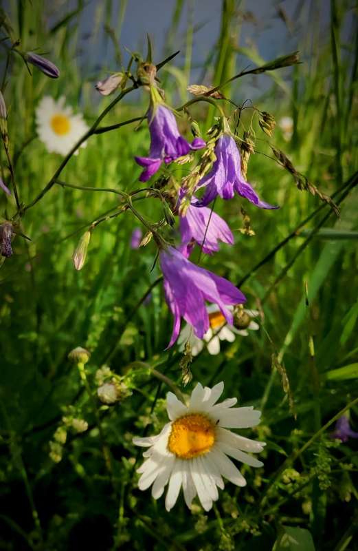 �������� ������� ���� ����� ������  �� PhotoGeek.ru #����� ��������������