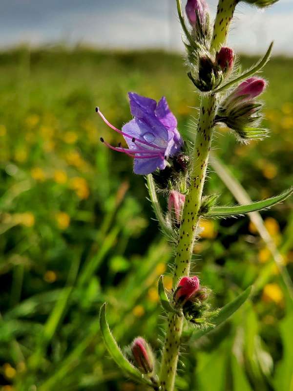 ����� - ���������� ������� ����� ������  �� PhotoGeek.ru #����� #����� ��������������