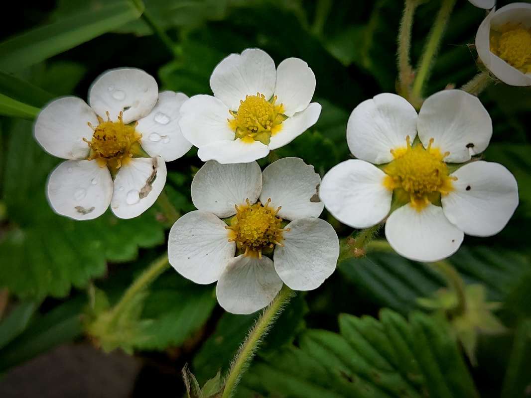 ��������� ����� ������  �� PhotoGeek.ru #����� #����� ��������������