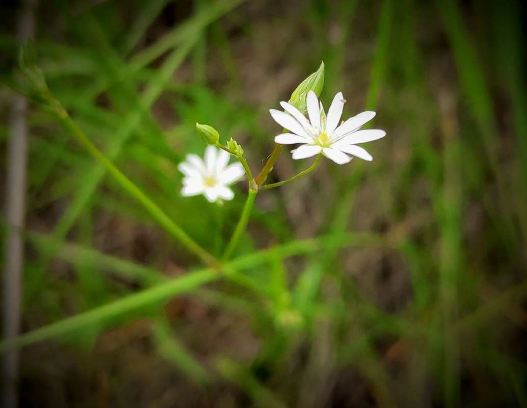 ���������� ����� ������  �� PhotoGeek.ru #����� #����� ��������������