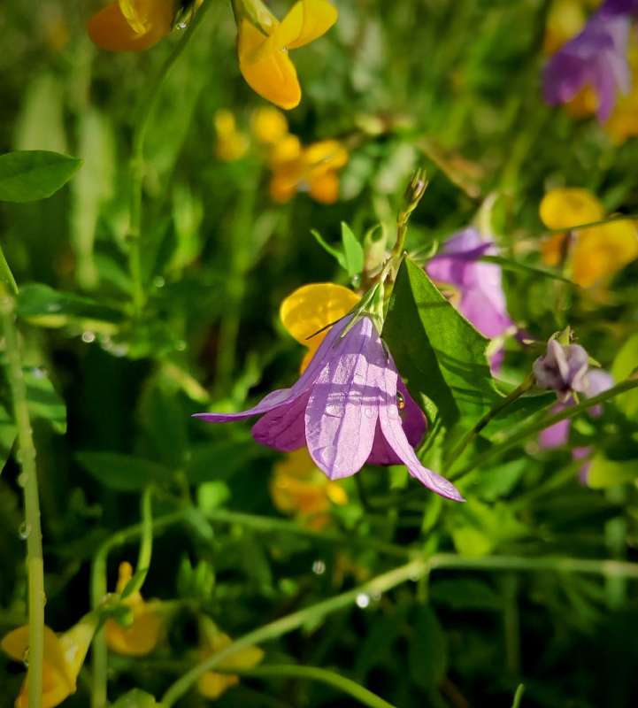 ����������� ����� ������  �� PhotoGeek.ru #����� #����� ��������������