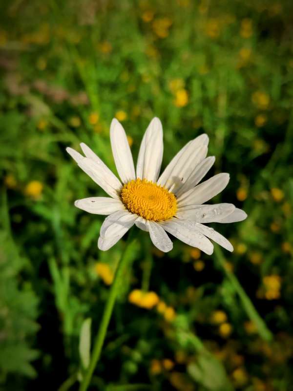 ������� - �������� ������ ����� ������  �� PhotoGeek.ru #����� #����� ��������������