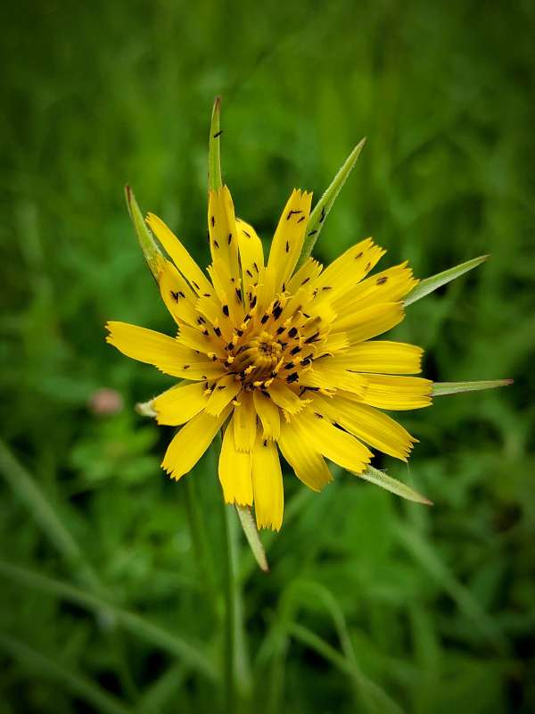 ������������� ����� ������  �� PhotoGeek.ru #����� #����� ��������������