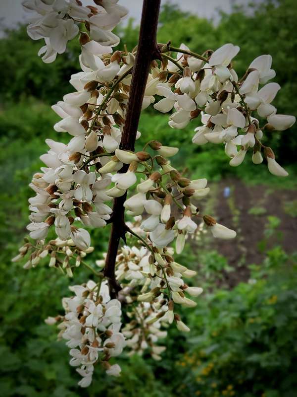 ����� ������ ������� ��������... ����� ������  �� PhotoGeek.ru #����� ��������������