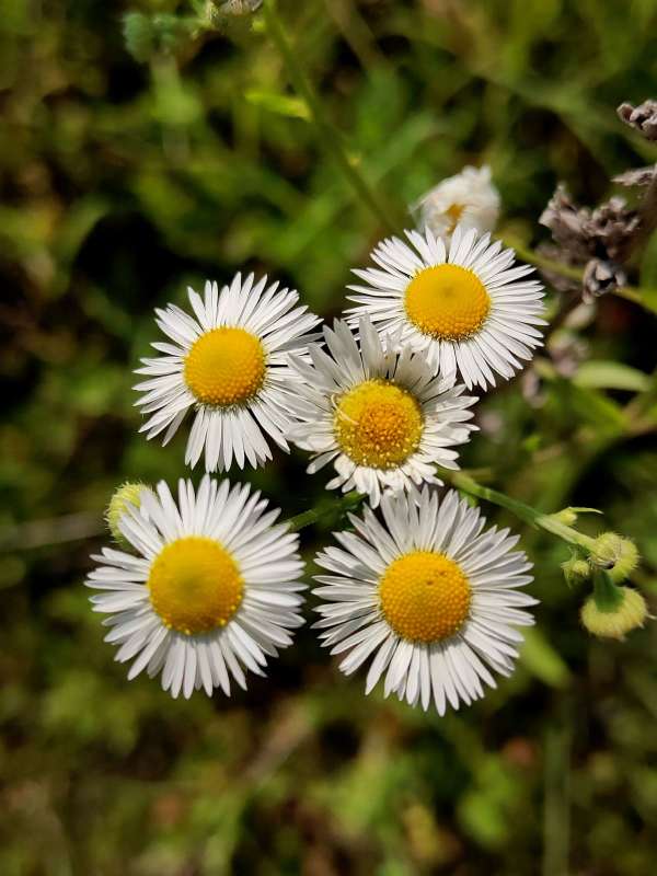 ������� ����� ����� ������  �� PhotoGeek.ru #����� #����� ��������������