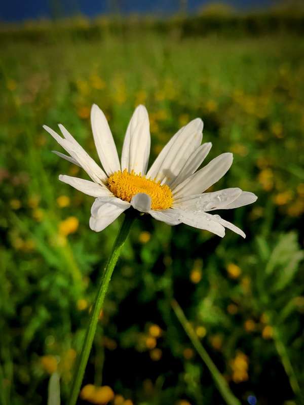 ������� - ������ ���� ����� ������  �� PhotoGeek.ru #����� #����� ��������������