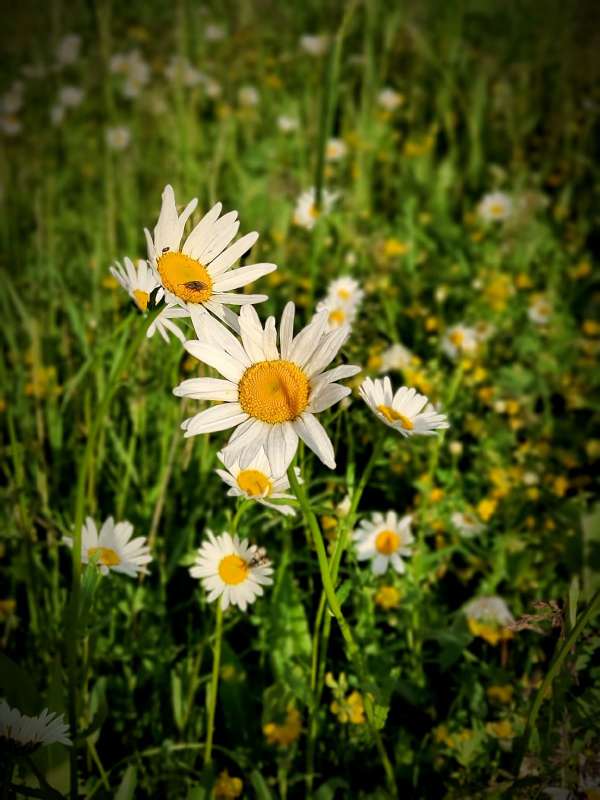 ������� ����� ������  �� PhotoGeek.ru #����� #����� ��������������