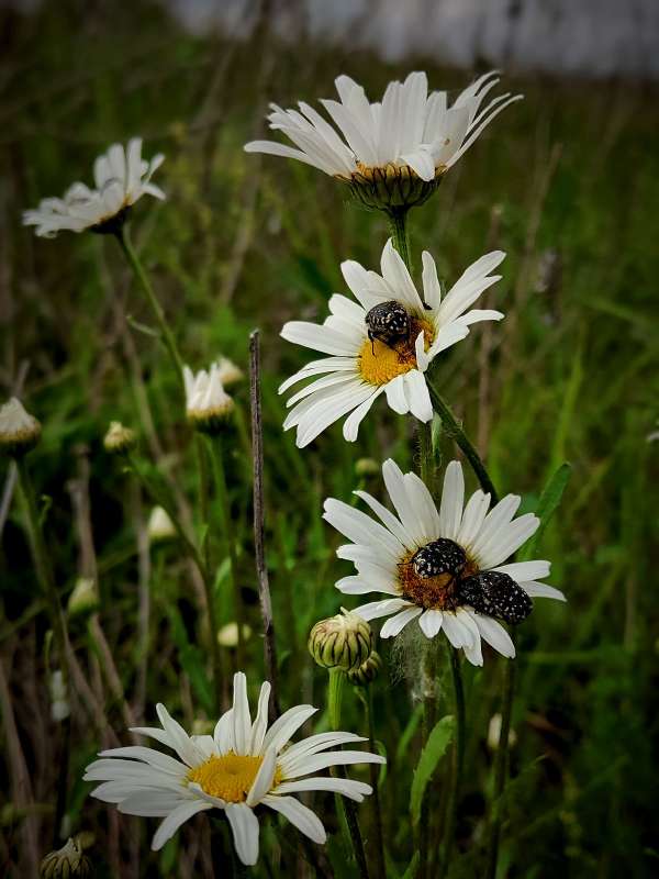 �� ����� ������� ���� ����� ������  �� PhotoGeek.ru #����� #����� ��������������