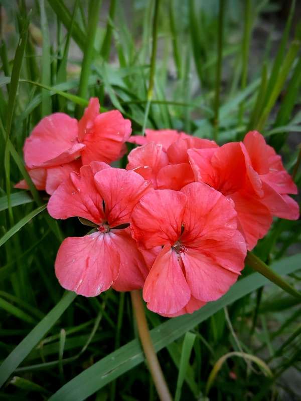 ���������� ����� ������  �� PhotoGeek.ru #����� #����� ��������������