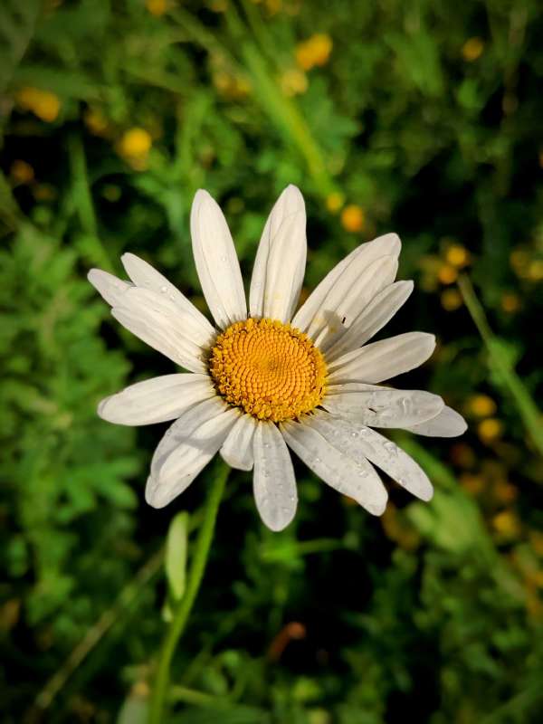 ������� ������� ����� ������  �� PhotoGeek.ru #����� #����� ��������������