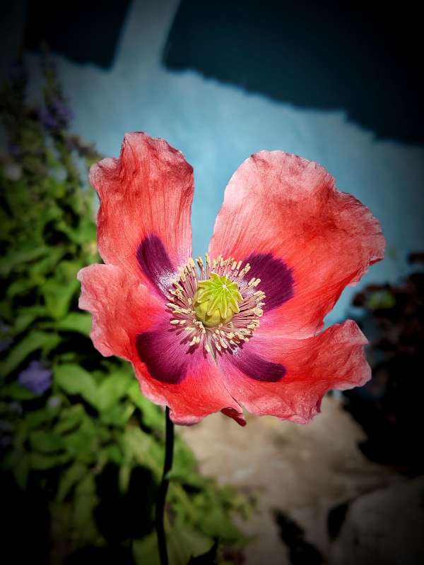 ������� ��� ����� ������  �� PhotoGeek.ru #����� #����� ��������������