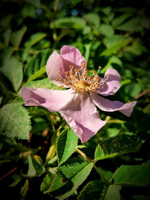 ����� �������� ����� ������  �� PhotoGeek.ru #����� #����� ��������������