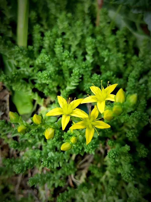 ����� - �������� ���� ����� ������  �� PhotoGeek.ru #����� #����� ��������������