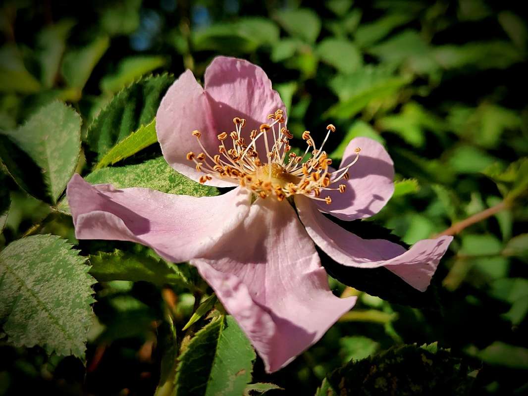 �������� ����� ������  �� PhotoGeek.ru #����� #����� ��������������