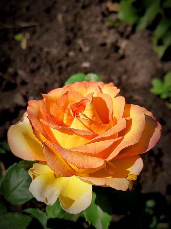 ���� "��� ������" ����� ������  �� PhotoGeek.ru #����� #����� ��������������