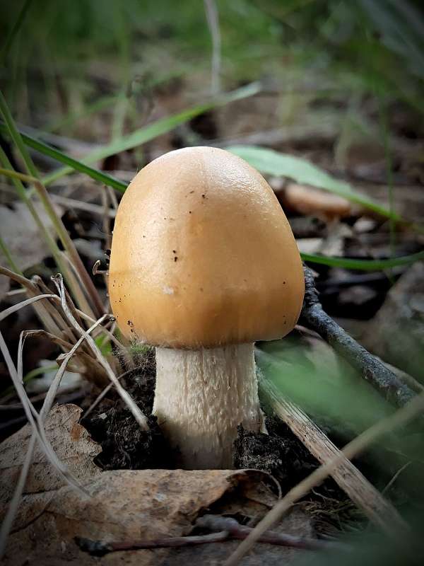 � ���� ������; �������� ����� ������  �� PhotoGeek.ru #����� #����� ��������������