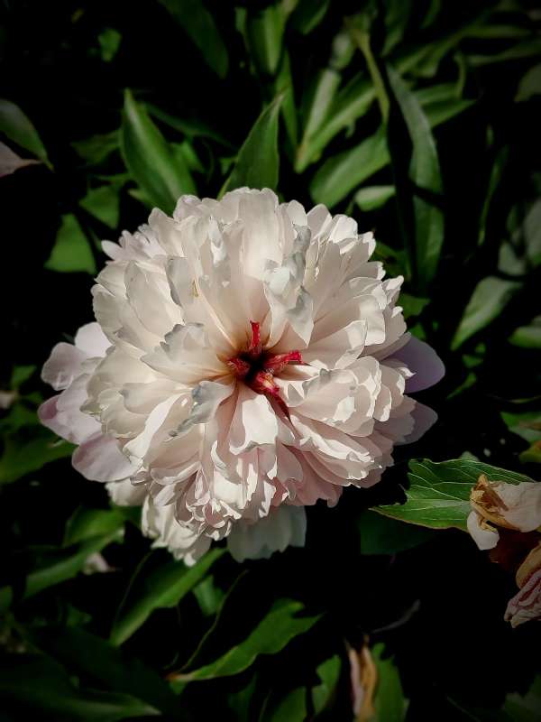 ���� ����� ������  �� PhotoGeek.ru #����� #����� ��������������