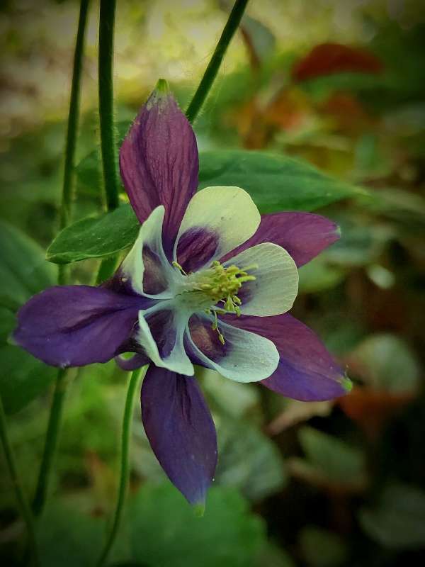 ��������� ����� ������  �� PhotoGeek.ru #����� #����� ��������������