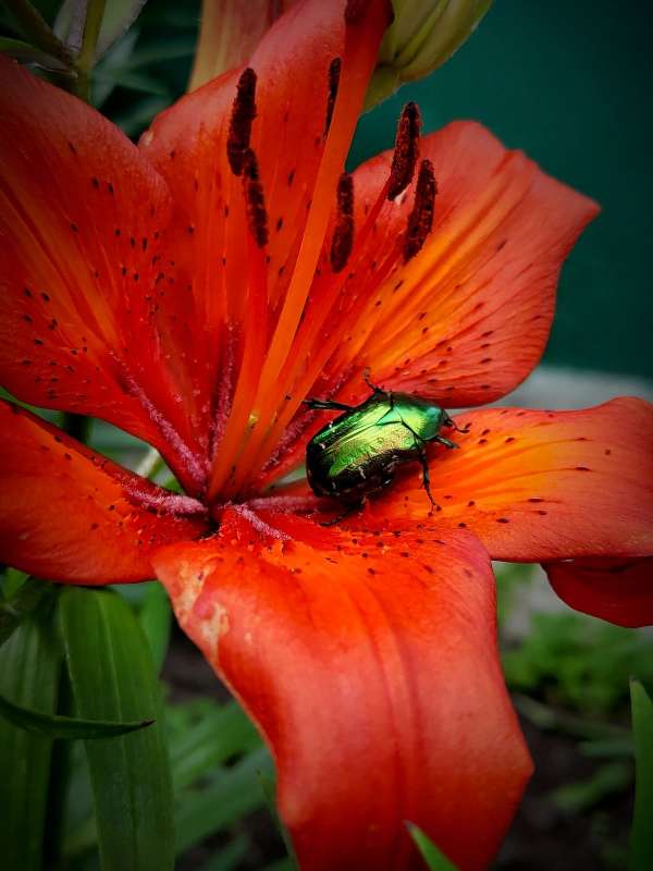 ��������� �� �������� ����� ����� ������  �� PhotoGeek.ru #����� #���������