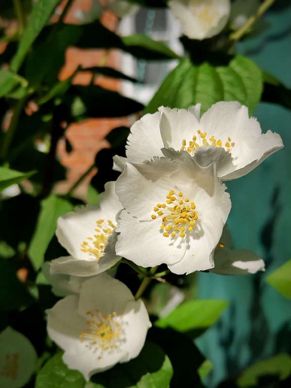 ��������� ������ ����� ������  �� PhotoGeek.ru #����� #����� ��������������