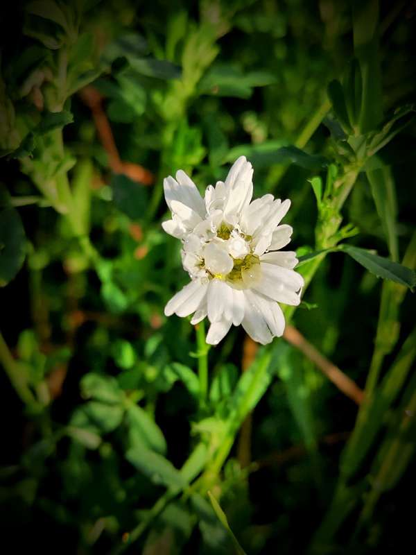 ����������� ������� ����� ������  �� PhotoGeek.ru #����� #����� ��������������