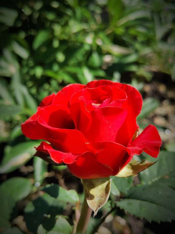 ���� ���� ����� ������  �� PhotoGeek.ru #�����