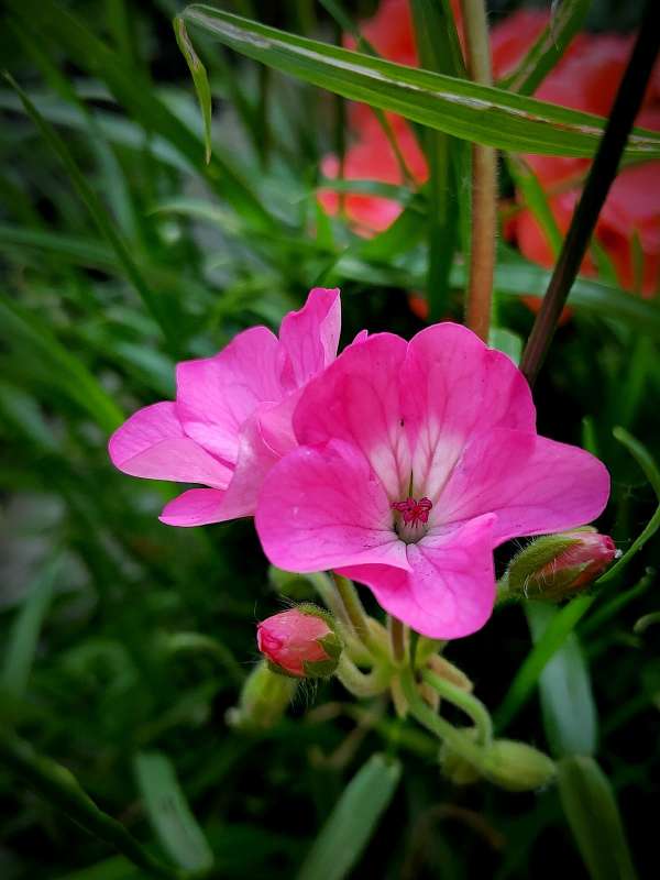 ���������� ��������� ����� ������  �� PhotoGeek.ru #����� #����� ��������������