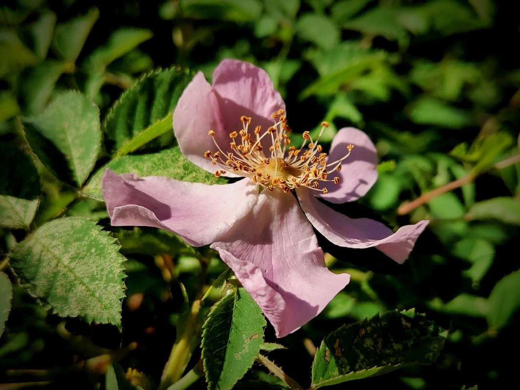 ������� ������ ��������� ����� ������  �� PhotoGeek.ru #����� #����� ��������������