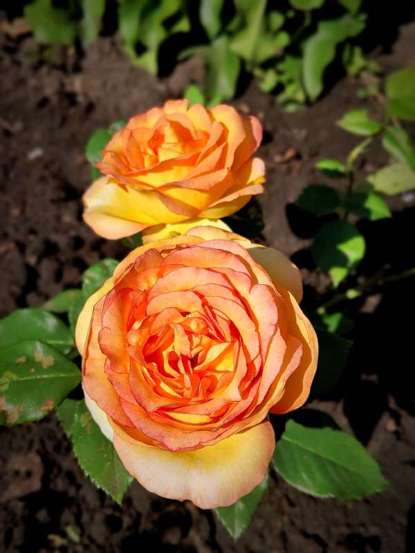 ��������� ���� ������... ����� ������  �� PhotoGeek.ru #����� #����� ��������������