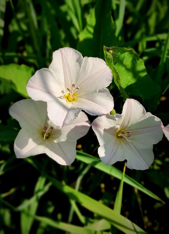 ���� ������ ����� ������  �� PhotoGeek.ru #����� #����� ��������������