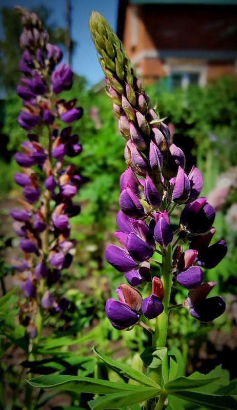 ����� ����� ����� ������  �� PhotoGeek.ru #����� #����� ��������������