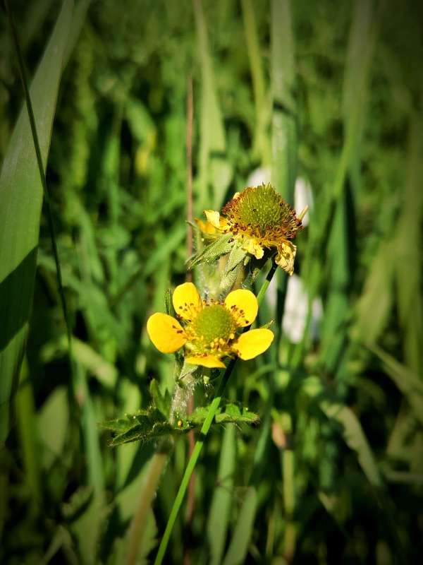 �������� ����� ������  �� PhotoGeek.ru #����� #����� ��������������