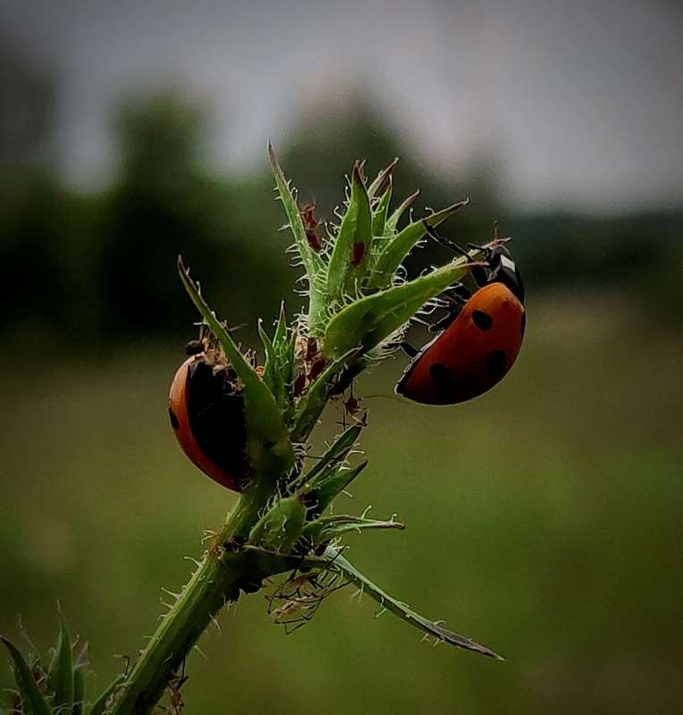 ����� ������� ����� ������  �� PhotoGeek.ru #����� #���������