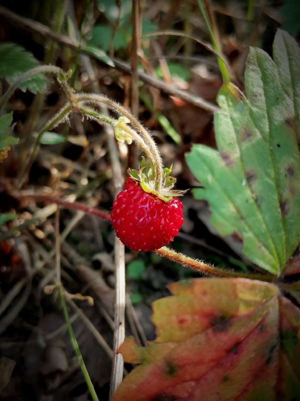 ������ ��������� ����� ������  �� PhotoGeek.ru #����� #����� ��������������