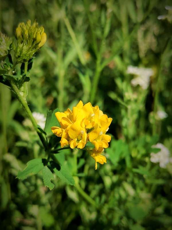 ������� ����� ������  �� PhotoGeek.ru #����� #����� ��������������