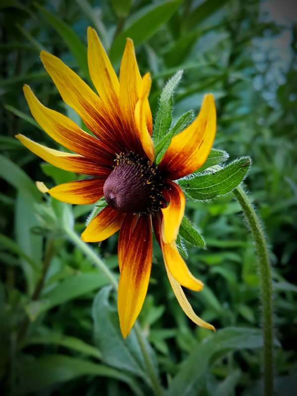 ����������� "��������" ����� ������  �� PhotoGeek.ru #����� #����� ��������������