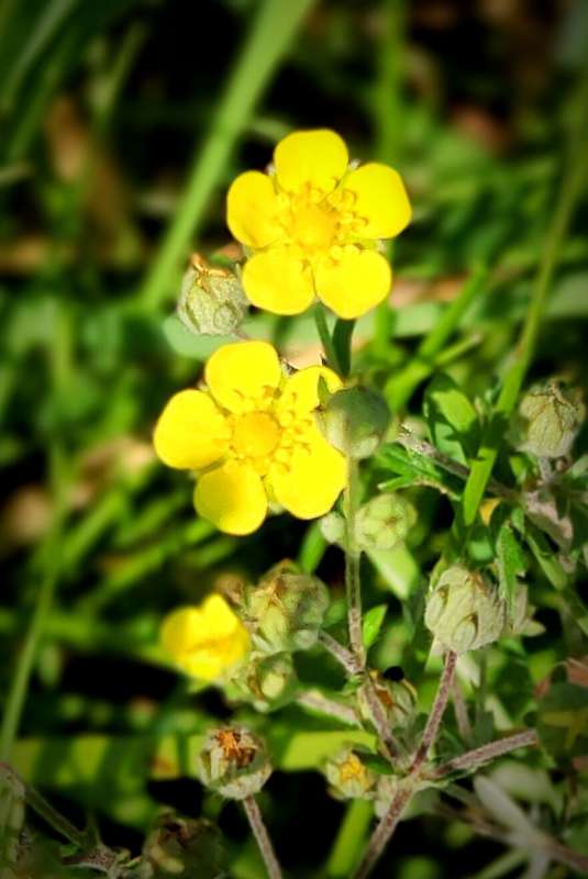 ������� ����� ����� ������  �� PhotoGeek.ru #����� #����� ��������������